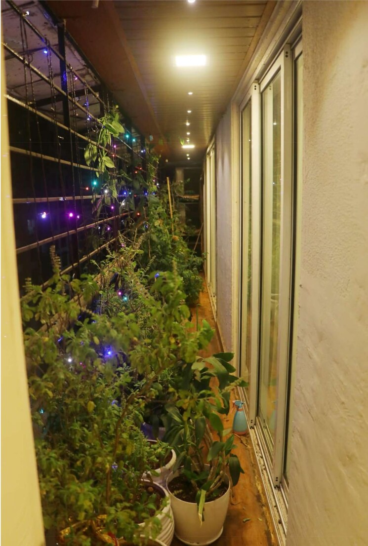 Balcony, gagangiri-northern-star 2 Bedroom 1201 Sq.Ft. Apartment In Dahisar West Mumbai 8091915