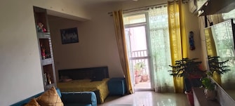 2 BHK Apartment For Rent in Gaur City 2 - 12th Avenue Noida Ext Sector 16c Greater Noida  8091923