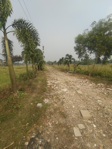 Plot Area in  Plot at Joka – for Sale