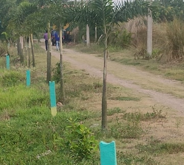 Plot Area in  Plot at Joka – for Sale