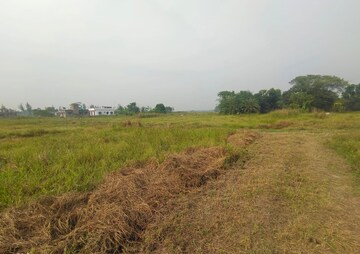 Plot Area in  Plot at Joka – for Sale