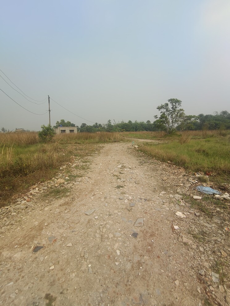 undefined, joka  1800 Sq.Ft. Plot In Joka Kolkata 8091993