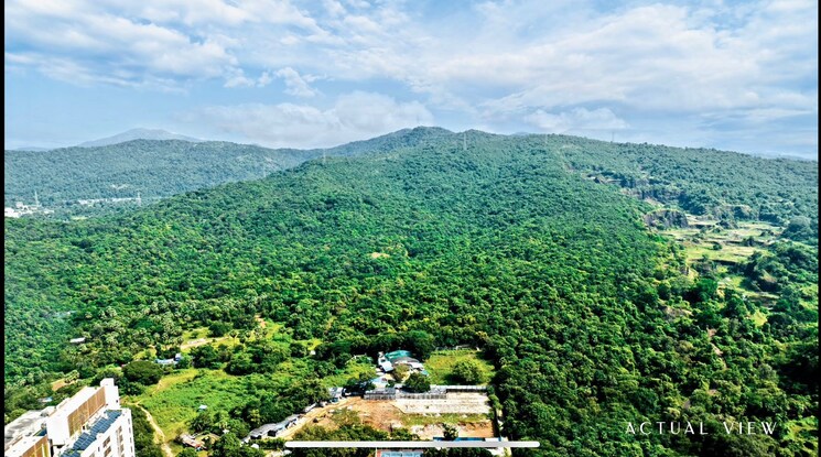 Exterior View, lodha-mahalaxmi-bellevue 3 Bedroom 1162 Sq.Ft. Apartment In Mahalaxmi Mumbai 8092052