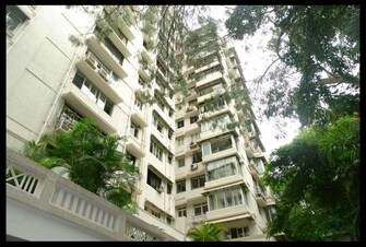 2 BHK Apartment For Rent in Apsara Apartments Pali Hill Mumbai  8092130