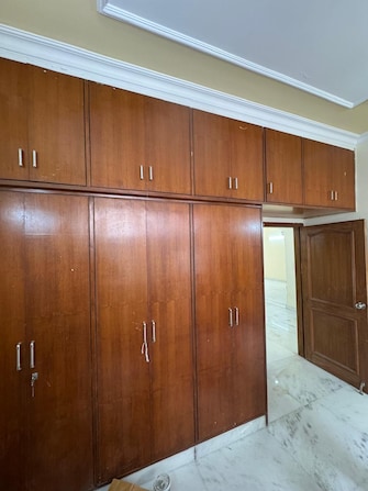 3 BHK Builder Floor For Rent in Greater Kailash Part 3 Delhi  8092203