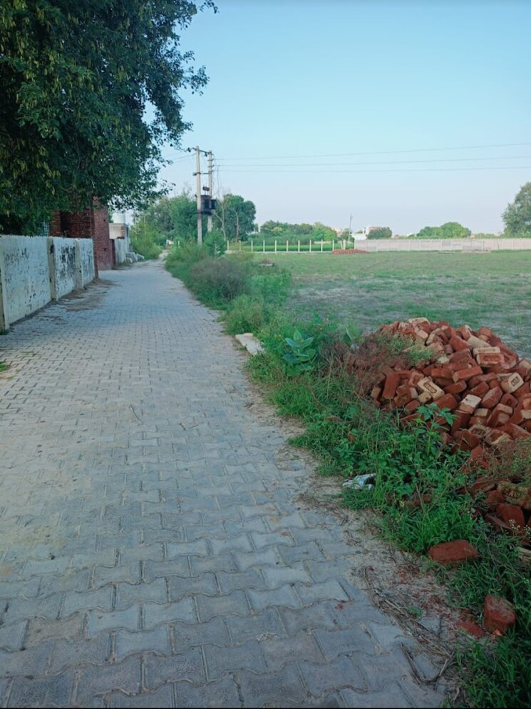 Exterior View, bahamnoli  300 Sq.Yd. Plot In Bahamnoli Jhajjar 8092300