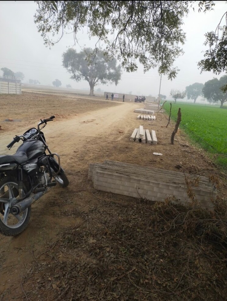 Exterior View, bahamnoli  300 Sq.Yd. Plot In Bahamnoli Jhajjar 8092300