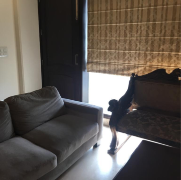 Living Room in 3 BHK Builder Floor at East Of Kailash – for Rent