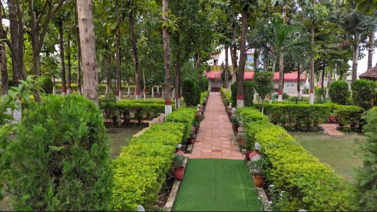 Garden, jakhan rajpur road  600 Sq.Yd. Plot In JakhaN Rajpur Road Dehradun 8092439