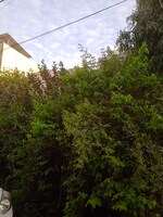 180 Sq.Yd. Plot in Rajendra Nagar Sector 5