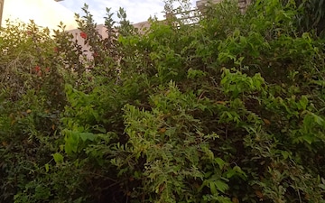 Plot For Sale in Rajendra Nagar Sector 5