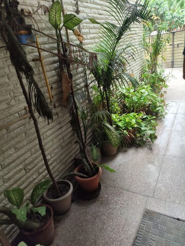 Parking in 1 RK Villa at RWA Apartments Sector 26, Sector 26 – for Rent
