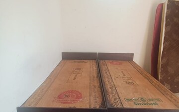 3 BHK Builder Floor For Rent in Sector 11