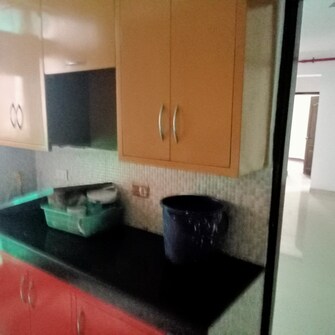 3 BHK Apartment For Rent in Aditya Luxuria Estate Shahpur Bamheta Ghaziabad  8093028