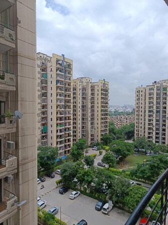 3 BHK Apartment For Rent in RPS Savana Sector 88 Faridabad  8093259