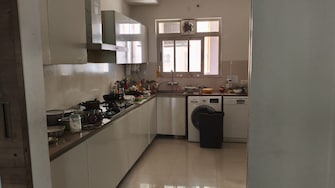 4 BHK Apartment For Rent in Hiranandani Rodas Enclave Leona Ghodbunder Road Thane  8093514