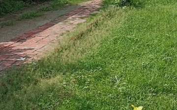 Plot For Sale in RWA Apartments Sector 45, Sector 45