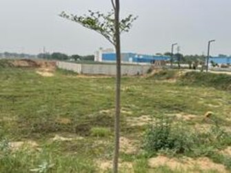 Plot For Resale in JMS The Pearl Sector 95 Gurgaon  8093686