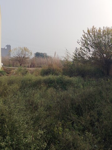Plot Area in  Plot at Sector 2 – for Sale