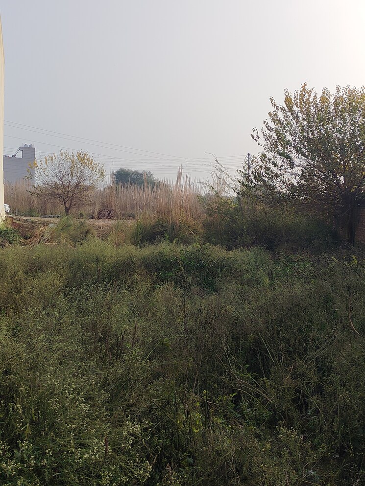 undefined, sector 02  502 Sq.Yd. Plot In Sector 02 Bahadurgarh 8093802