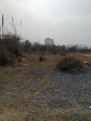 Plot For Resale in Sector 2 Bahadurgarh  8093802