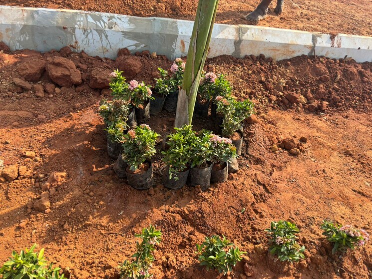 undefined, sri-bhumi-eeshaanya  184 Sq.Yd. Plot In Kankipadu Vijayawada 8093856