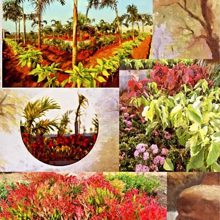 Garden, sri-bhumi-eeshaanya  250 Sq.Yd. Plot In Kankipadu Vijayawada 8093868