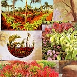 350 Sq.Yd. Plot in Sri Bhumi Eeshaanya