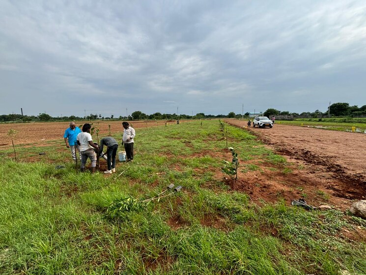 undefined, mangalagiri  184 Sq.Yd. Plot In Mangalagiri Vijayawada 8093948