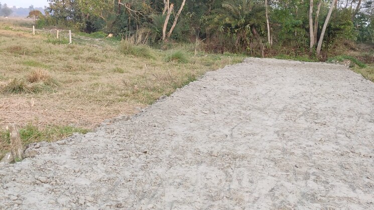 undefined, joka  2520 Sq.Ft. Plot In Joka Kolkata 8093967