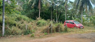 Plot For Resale in Urakam Thrissur  8093992