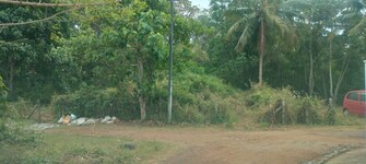 Plot For Resale in Urakam Thrissur  8093992