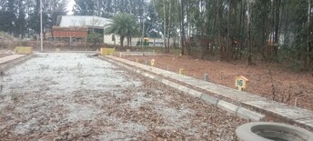 Plot For Resale in Srinivasapur Bangalore  8094143