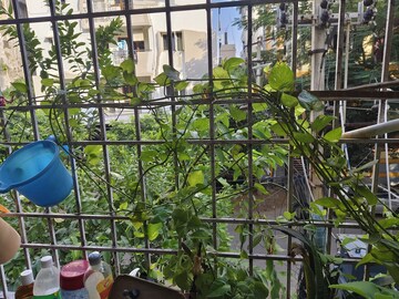 2 BHK Apartment – Exterior View View at Dwaraka Nagar - for Rent