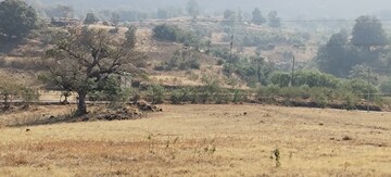 Plot Area in  Plot at Igatpuri – for Sale