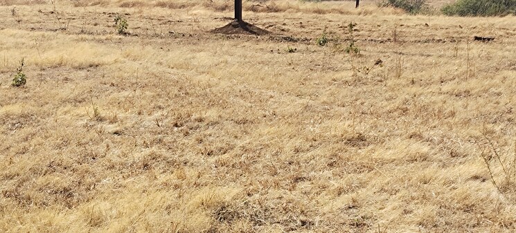 undefined, igatpuri  2 Acre Plot In Igatpuri Nashik 8094461