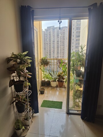 Balcony in 3.5 BHK Apartment at Amrapali Terrace Homes, Tech Zone 4 Greater Noida – for Rent