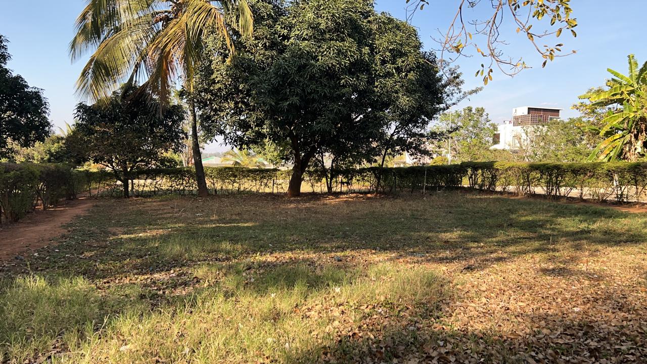 Plot For Sale in Hollywood Town