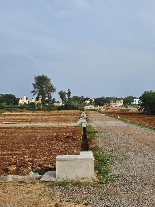 Plot For Sale in Krishna Colony Chandosh 