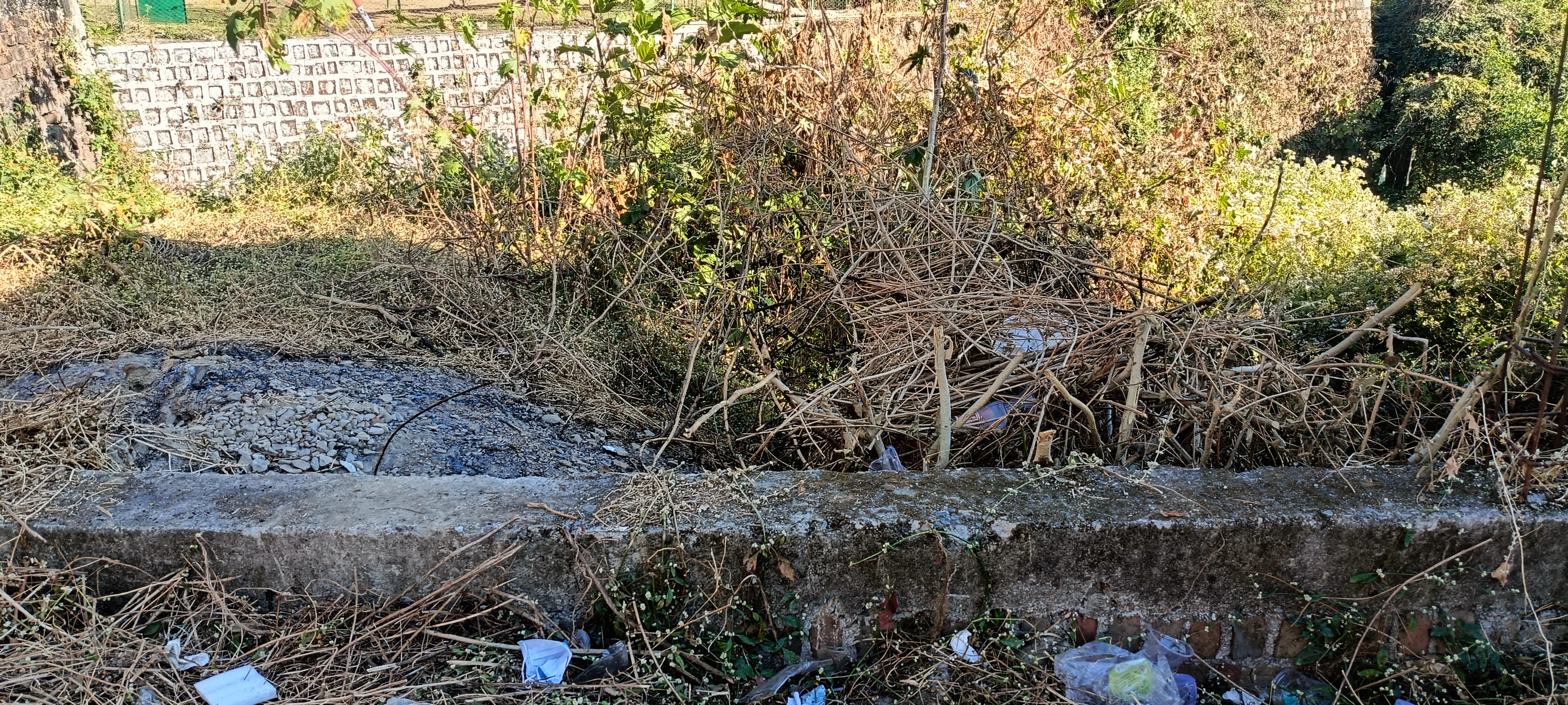 Plot For Sale in Bhagwant Pur