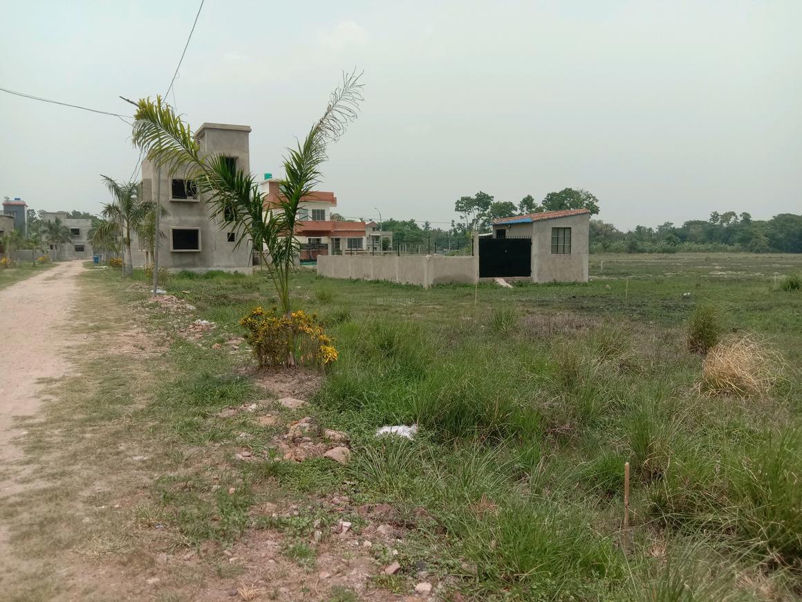 Plot For Sale in Krishna Colony Chandosh 