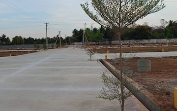 Plot For Sale in Kattur
