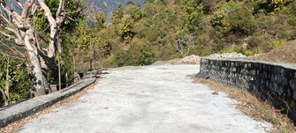 Plot For Resale in Bhagwant Pur Dehradun  8094810