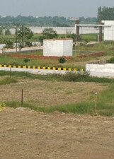 Plot For Sale in Tappal