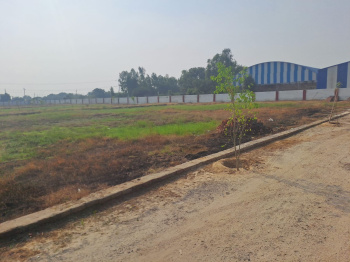 Plot For Sale in Krishna Colony Chandosh 