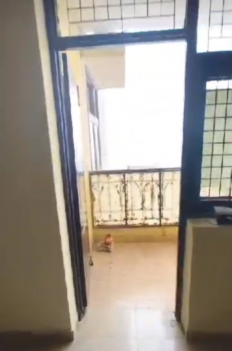 Room, high-end-paradise-ii 3 Bedroom 1175 Sq.Ft. Apartment In Raj Nagar Extension Ghaziabad 8094972