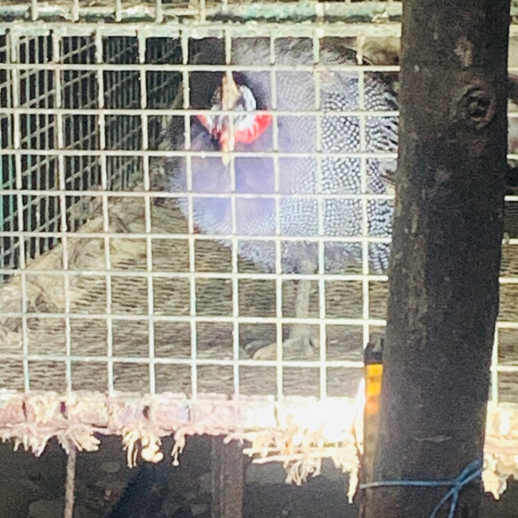 Exterior View, omaxe-r2 3.5 Bedroom 1775 Sq.Ft. Apartment In Sarsawan Lucknow 8095137