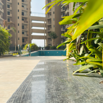 3 BHK Apartment For Resale in Arihant Arden Sport City 1 Greater Noida  8095405