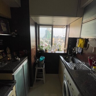 1 BHK Apartment For Rent in New Sai Niketan Tarwadi Mumbai  8095412