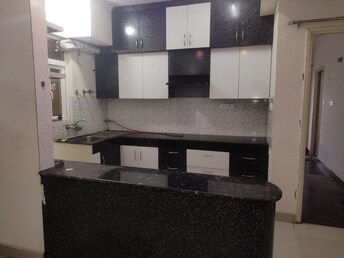 3 BHK Apartment For Rent in Habitech Panch Tatva Noida Ext Tech Zone 4 Greater Noida  8095537